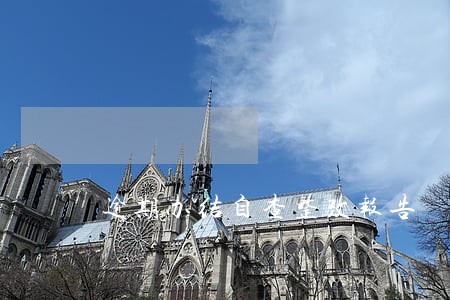 逾期办结自查整改报告