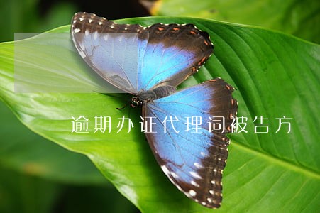 逾期办证代理词被告方