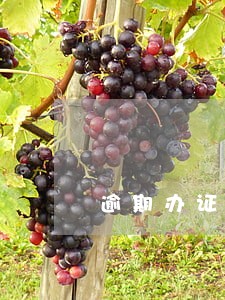 逾期办证协议 逾期办证协议