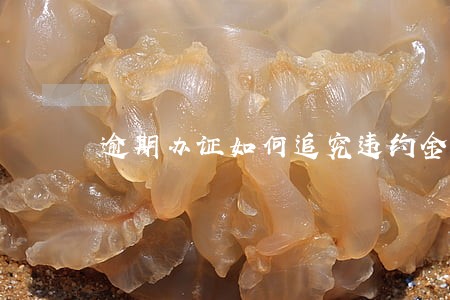 逾期办证如何追究违约金 逾期办证如何追究违约金