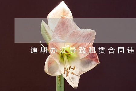 逾期办证导致租赁合同违约 逾期办证导致租赁合同违约
