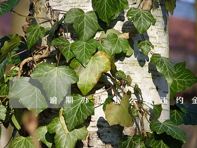 逾期办证怎么算违约金 逾期办证怎么算违约金