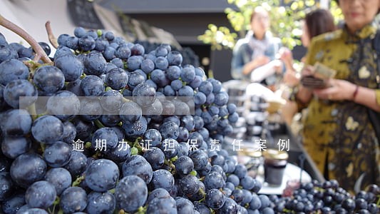 逾期办证担保责任案例 逾期办证担保责任案例