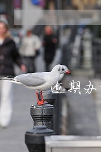 逾期办证损失案例 逾期办证损失案例