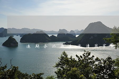 逾期办证损失申请国家赔偿 逾期办证损失申请国家赔偿