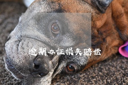 逾期办证损失赔偿