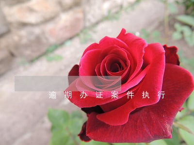 逾期办证案件执行