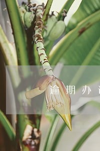 逾期办证的截止时间案例 逾期办证的截止时间案例