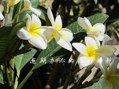 逾期办证的法律解释 逾期办证的法律解释