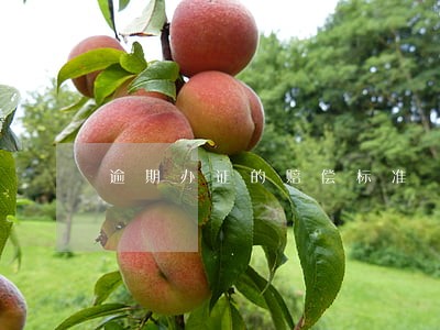 逾期办证的赔偿标准 逾期办证的赔偿标准