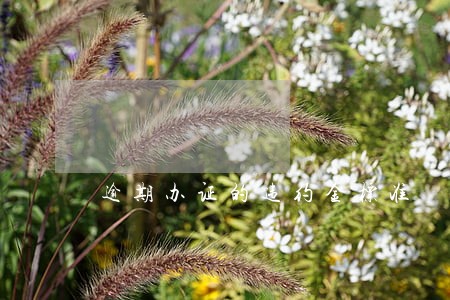 逾期办证的违约金标准 逾期办证的违约金标准