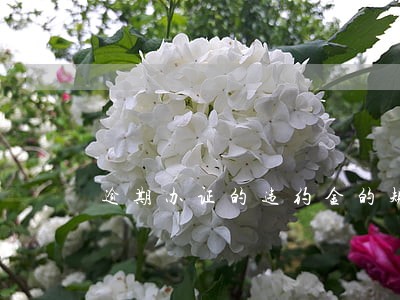 逾期办证的违约金的规定 逾期办证的违约金的规定