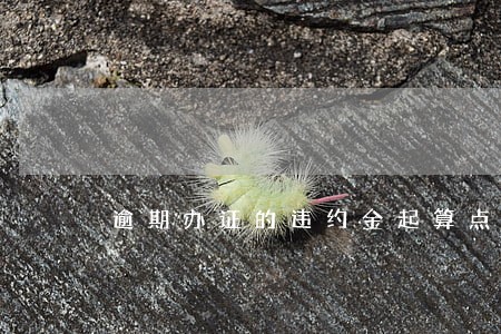 逾期办证的违约金起算点 逾期办证的违约金起算点