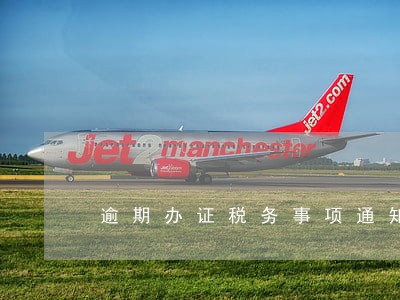逾期办证税务事项通知书 逾期办证税务事项通知书