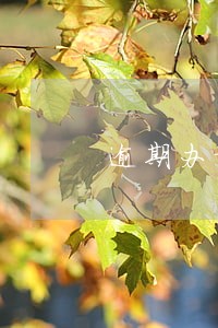逾期办证能否解除合同 逾期办证能否解除合同