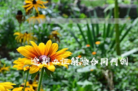 逾期办证解除合同判例 逾期办证解除合同判例