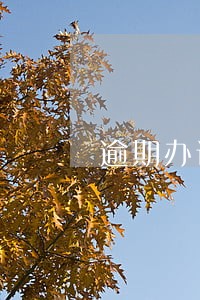 逾期办证诉讼标的金额 逾期办证诉讼标的金额
