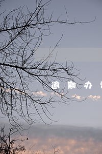 逾期办证诉讼请求 逾期办证诉讼请求