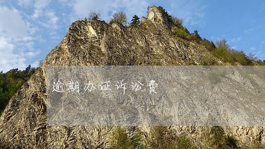 逾期办证诉讼费 逾期办证诉讼费