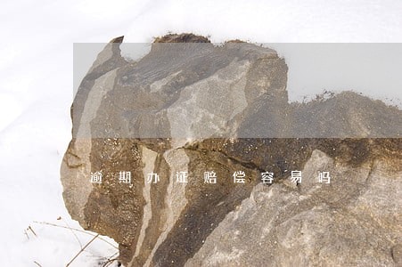 逾期办证赔偿容易吗 逾期办证赔偿容易吗