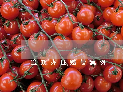 逾期办证赔偿案例 逾期办证赔偿案例