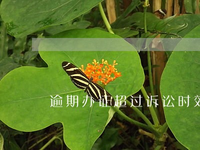 逾期办证超过诉讼时效 逾期办证超过诉讼时效