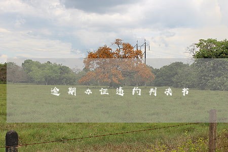 逾期办证违约判决书