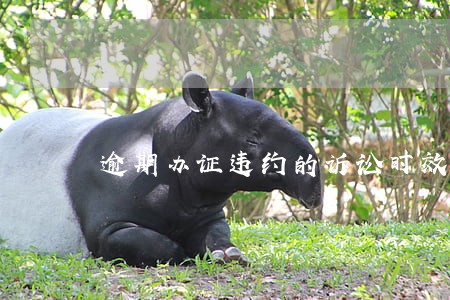 逾期办证违约的诉讼时效 逾期办证违约的诉讼时效
