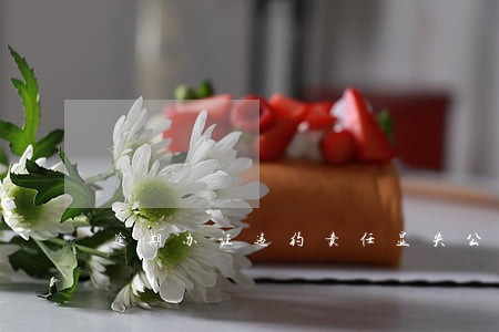 逾期办证违约责任显失公平 逾期办证违约责任显失公平