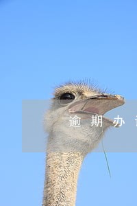 逾期办证违约责任能否免除