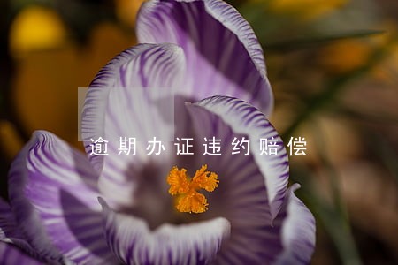 逾期办证违约赔偿 逾期办证违约赔偿