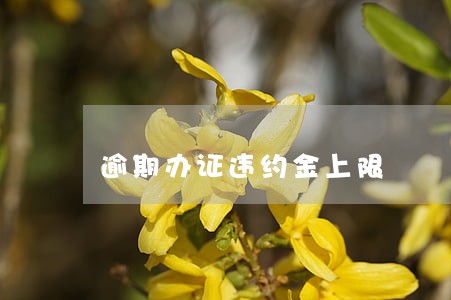 逾期办证违约金上限 逾期办证违约金上限