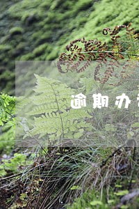 逾期办证违约金司法解释 逾期办证违约金司法解释