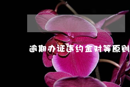 逾期办证违约金对等原则 逾期办证违约金对等原则