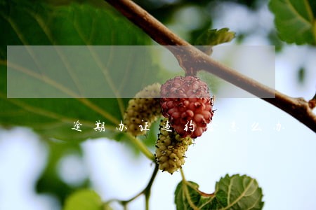 逾期办证违约金怎么办 逾期办证违约金怎么办