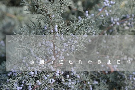 逾期办证违约金截止日期 逾期办证违约金截止日期