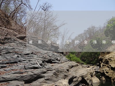 逾期办证违约金排除格式条款 逾期办证违约金排除格式条款