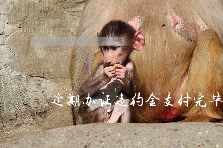 逾期办证违约金支付完毕