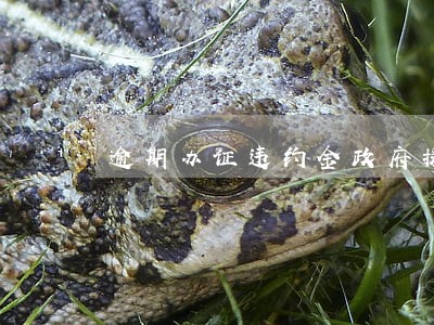 逾期办证违约金政府援助 逾期办证违约金政府援助