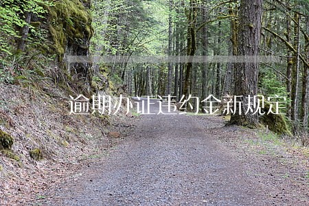 逾期办证违约金新规定 逾期办证违约金新规定