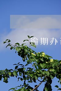 逾期办证违约金有上限吗 逾期办证违约金有上限吗