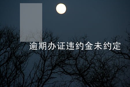 逾期办证违约金未约定 逾期办证违约金未约定