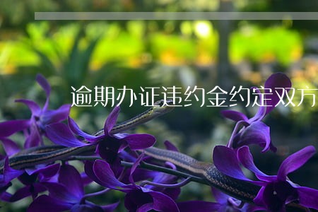 逾期办证违约金约定双方协商 逾期办证违约金约定双方协商