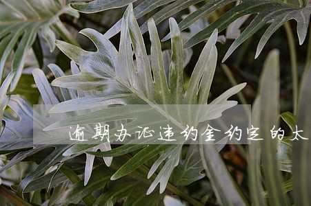 逾期办证违约金约定的太少 逾期办证违约金约定的太少