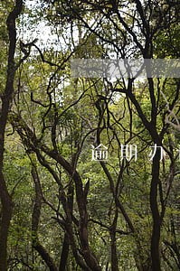 逾期办证违约金能否调整 逾期办证违约金能否调整