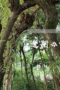 逾期办证违约金能调整吗 逾期办证违约金能调整吗