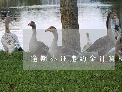 逾期办证违约金计算标准 逾期办证违约金计算标准