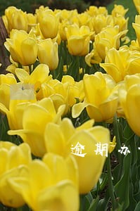 逾期办证违约金诉讼时效判决 逾期办证违约金诉讼时效判决