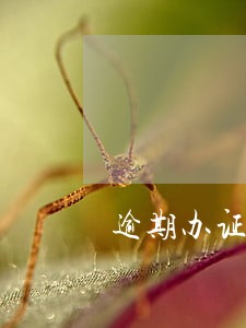 逾期办证违约金诉讼时效浙江 逾期办证违约金诉讼时效浙江