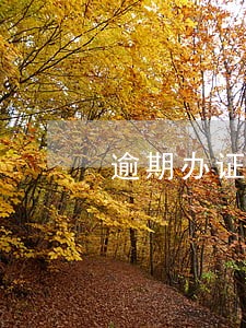 逾期办证违约金过低 逾期办证违约金过低